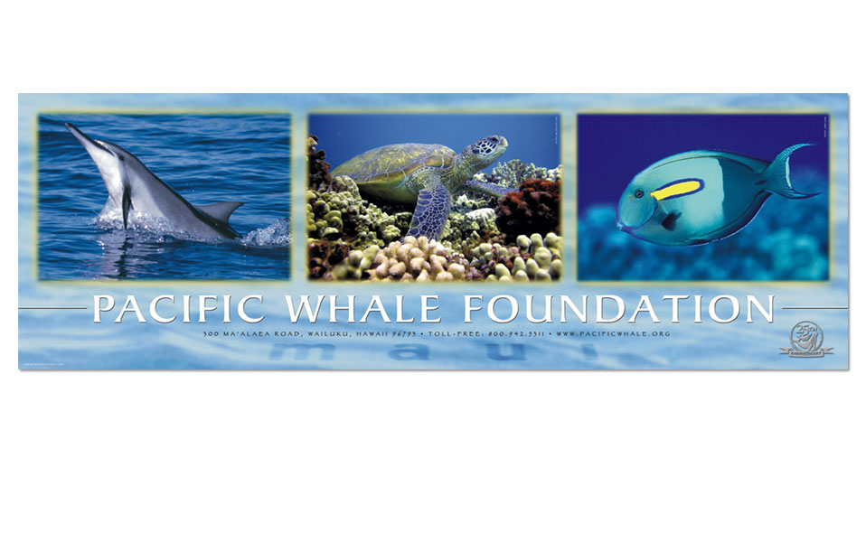 Poster for Pacific Whale Foundation on Maui.