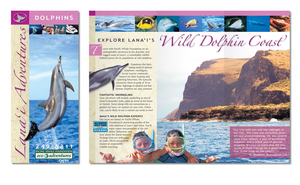 Rack card brochure for Pacific Whale Foundation on Maui.