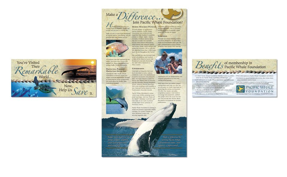 Membership brochure for Pacific Whale Foundation on Maui.
