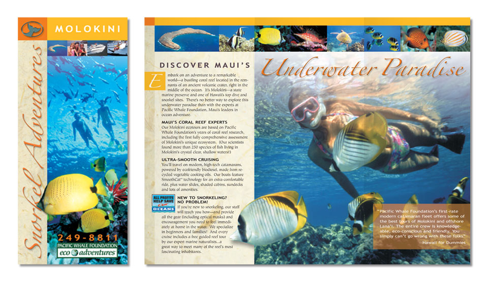 Rack card brochure for Pacific Whale Foundation on Maui. PWF funds its research and conservation efforts through eco-tourism.