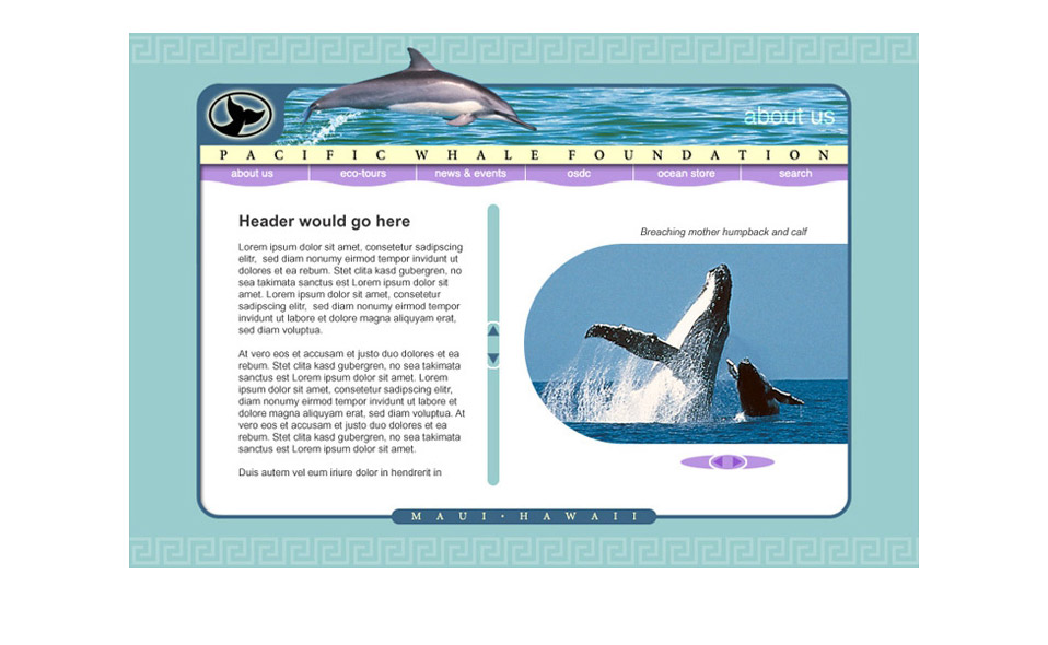 Landing page concept for Pacific Whale Foundation on Maui. 